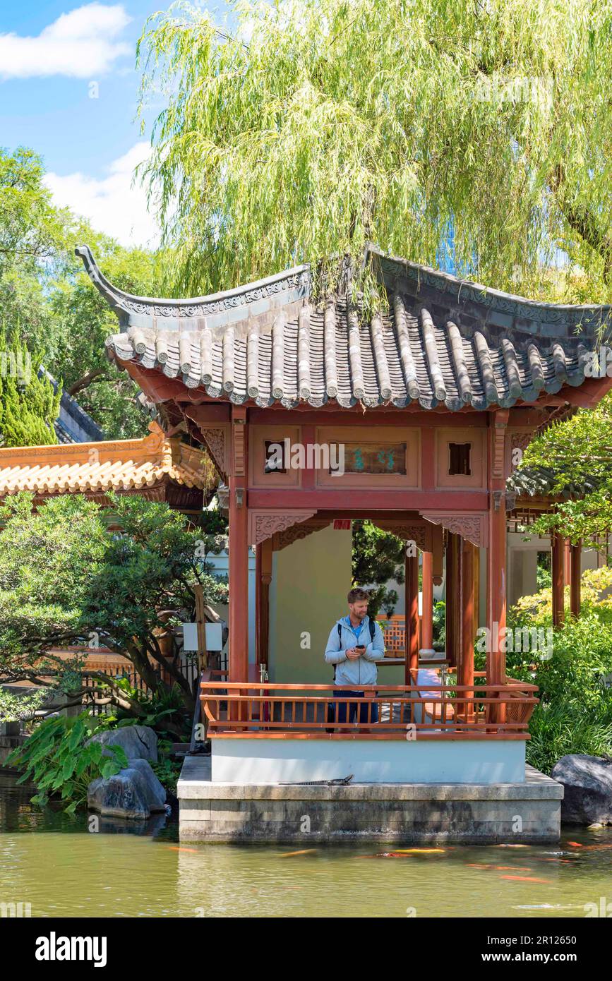 Ein Mann nimmt sich einen Moment Zeit im milden Jade Pavillon im Chinese Gardens of Friendship in Sydney, Australien Stockfoto