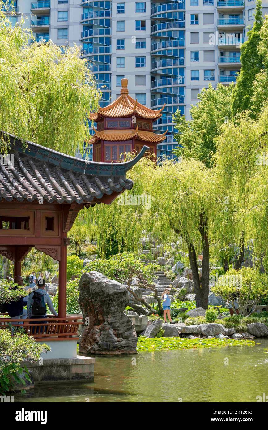 Der milde Jade Pavillon und Lotus Pond mit dem Clear View Pavillon im hinteren Bereich des Chinese Gardens of Friendship in Sydney, Australien Stockfoto