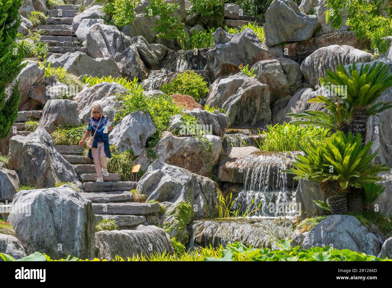 Ein Terrassengarten mit großen Felsen, eine gewundene Steintreppe und ein Wasserfall im Chinese Gardens of Friendship in Sydney, Australien Stockfoto