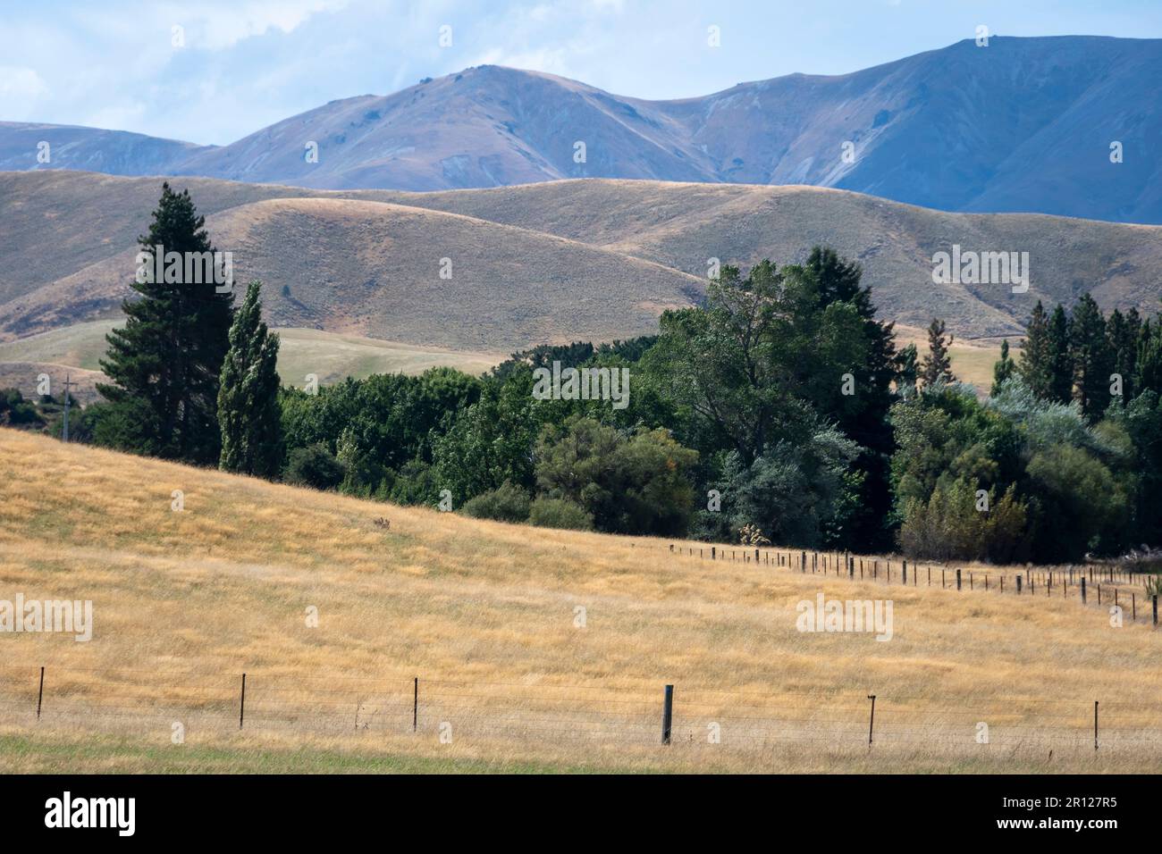 Ackerland und Wälder, in der Nähe von St. Bathans, Central Otago, South Island, Neuseeland Stockfoto