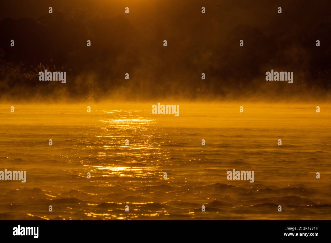 Sonnenaufgang über dem Sambesi-Fluss, die Wasseroberfläche leuchtet in leuchtenden orangefarbenen Farben auf, Nebel steigt aus dem Wasser auf. Sambesi, Simbabwe, Afrika Stockfoto
