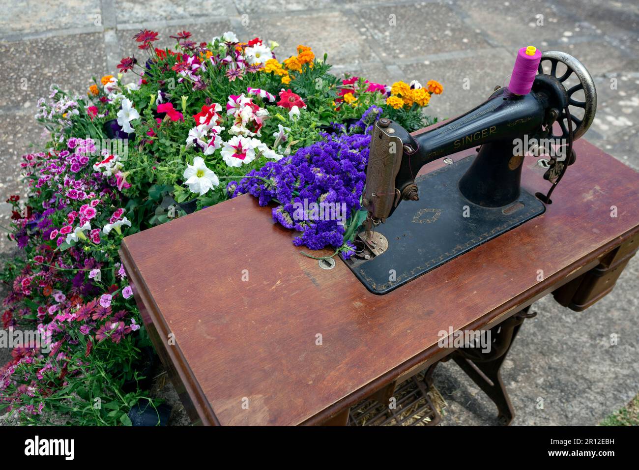 Kunstinstallation. Nähmaschine und Blumen Teppich. Costitx Village Flower Festival. Mallorca Island. Spanien Stockfoto