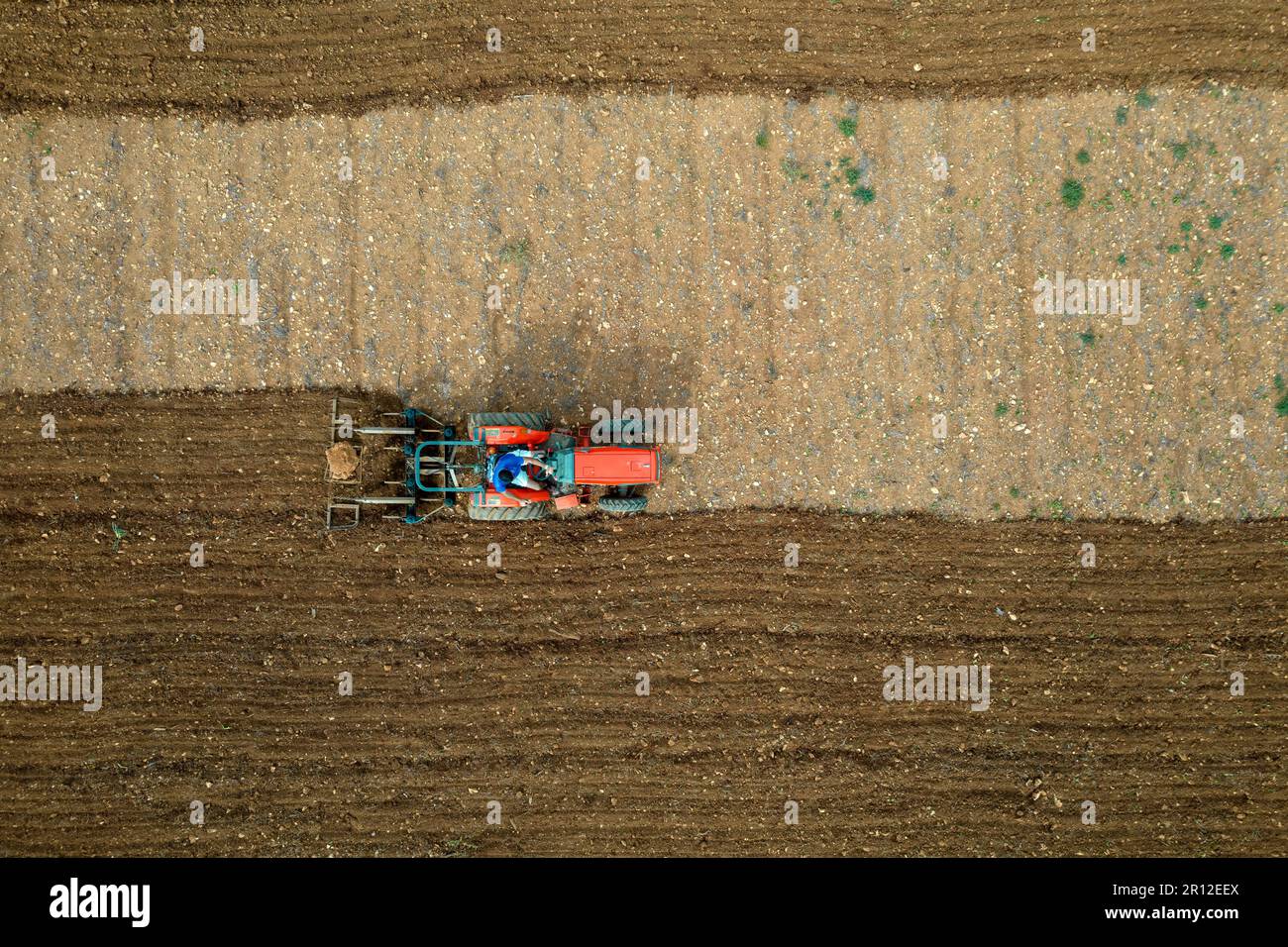 Traktor pflügt ein Feld. Insel Mallorca. Spanien Stockfoto