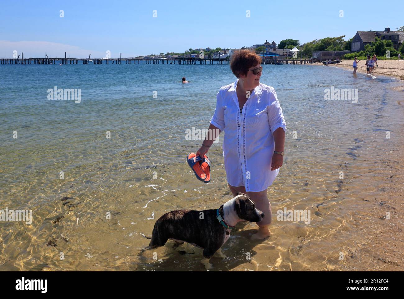 Eine Dame, die mit einem Hund im Meer paddelt Stockfoto