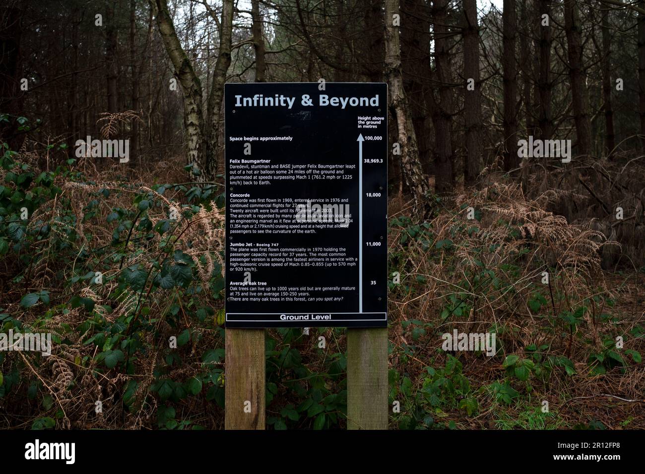 Informationstafel „Infinity & Beyond“ Rendelsham Forest Suffolk UK Stockfoto