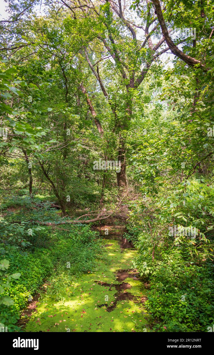 Monocacy National Battlefield, Park in Maryland Stockfoto