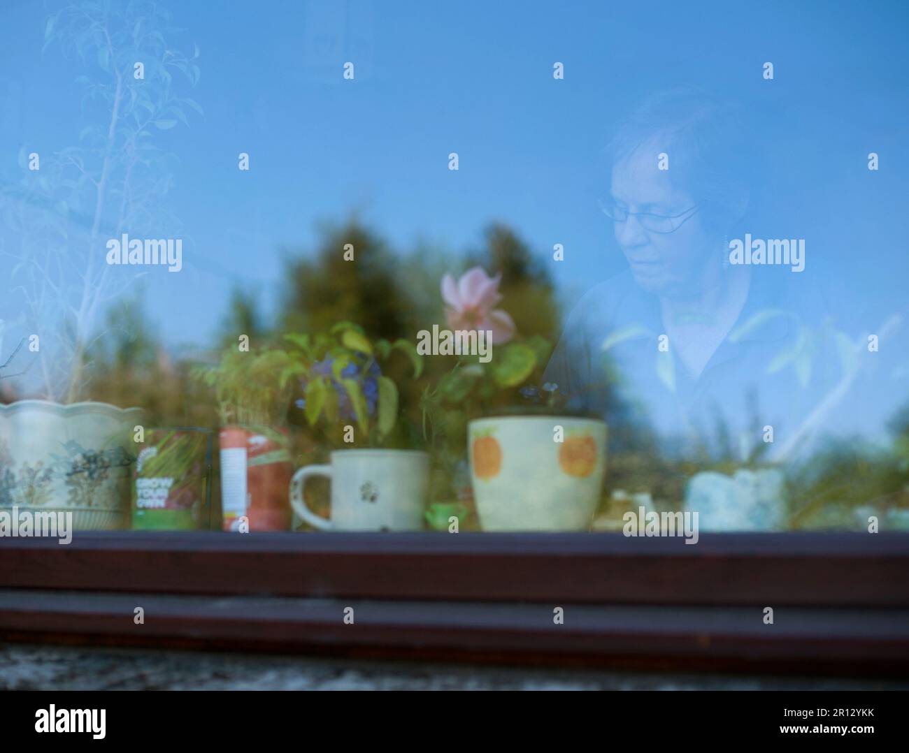 Eine ältere Dame durch ein Fenster mit Pflanztöpfen, die den Himmel reflektieren, und Bäumen im Hintergrund Stockfoto