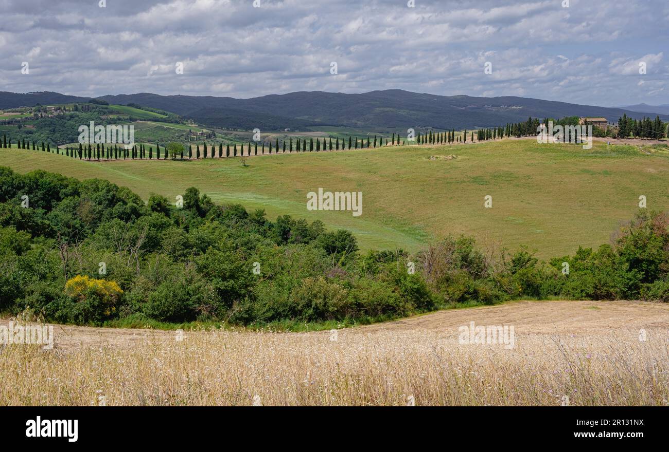 Landschaft der Toskana, Hügel und Wiesen, Zentralitalien - Europa - ländliche Landschaft Zentralitaliens - Europa Stockfoto