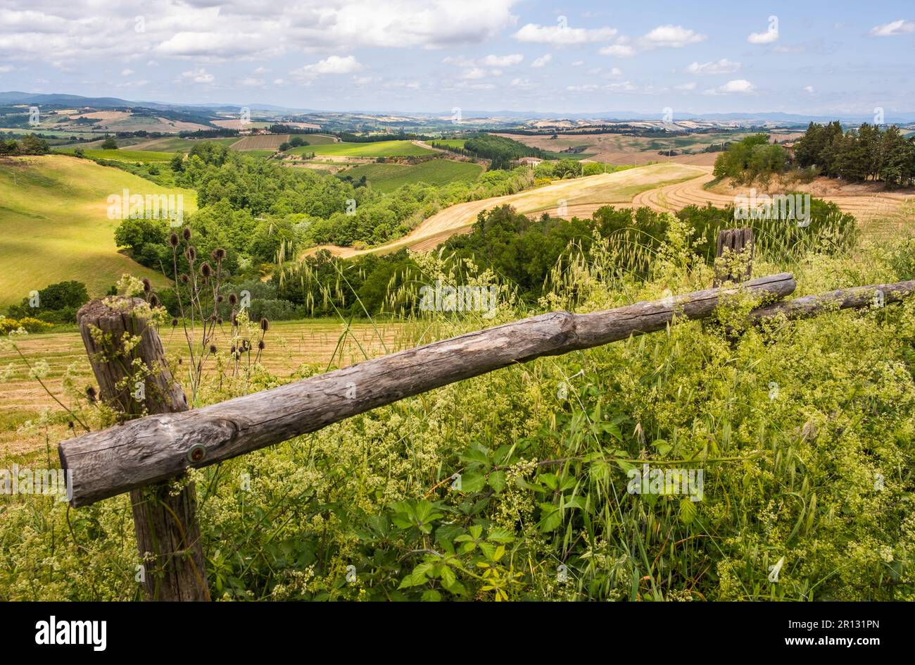 Landschaft der Toskana, Hügel, Wiesen und Weinberge, Zentralitalien - Europa - ländliche Landschaft Italiens - Weinberge im Frühling Stockfoto