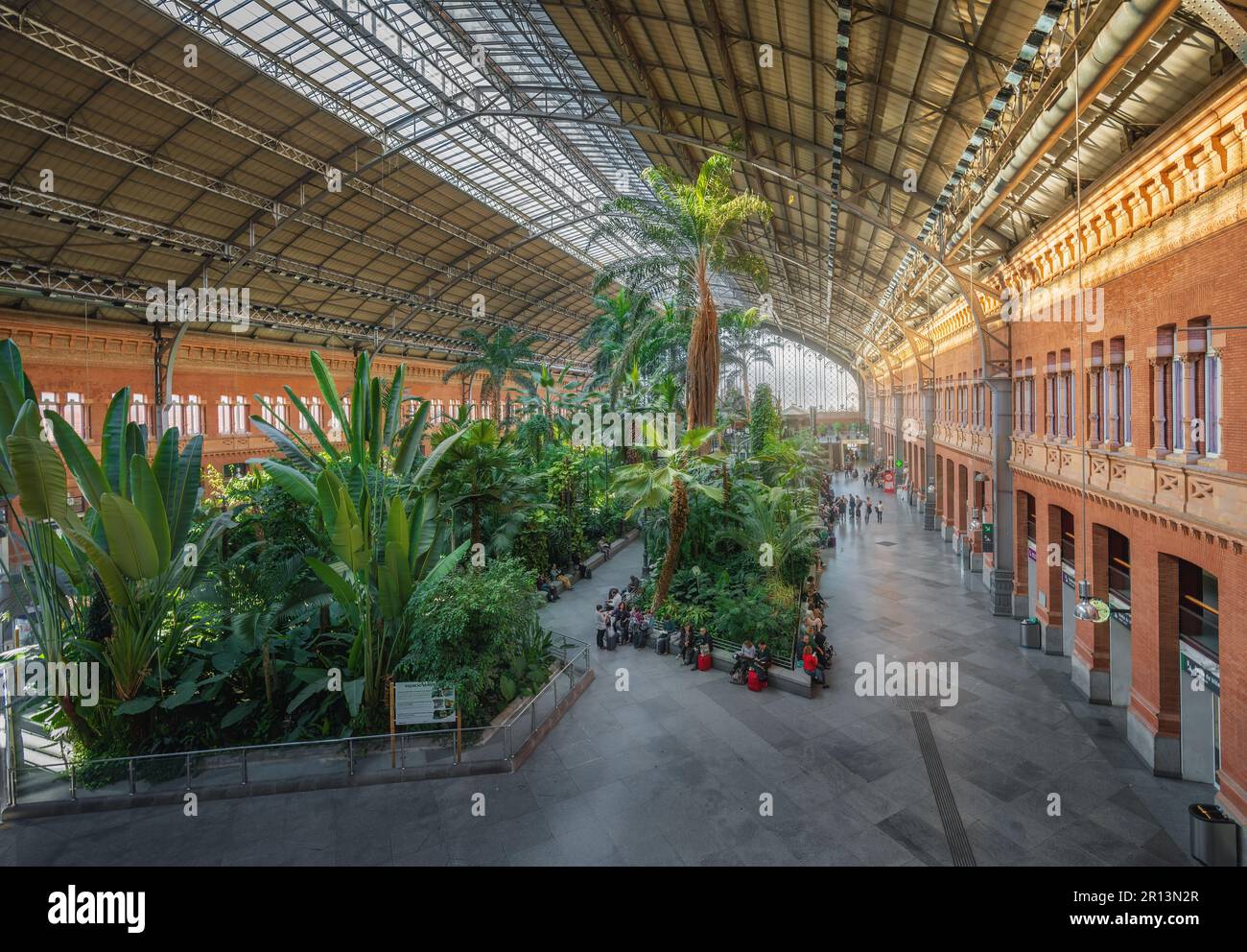 Innenseite des Bahnhofs Atocha mit tropischem Garten - Madrid, Spanien Stockfoto