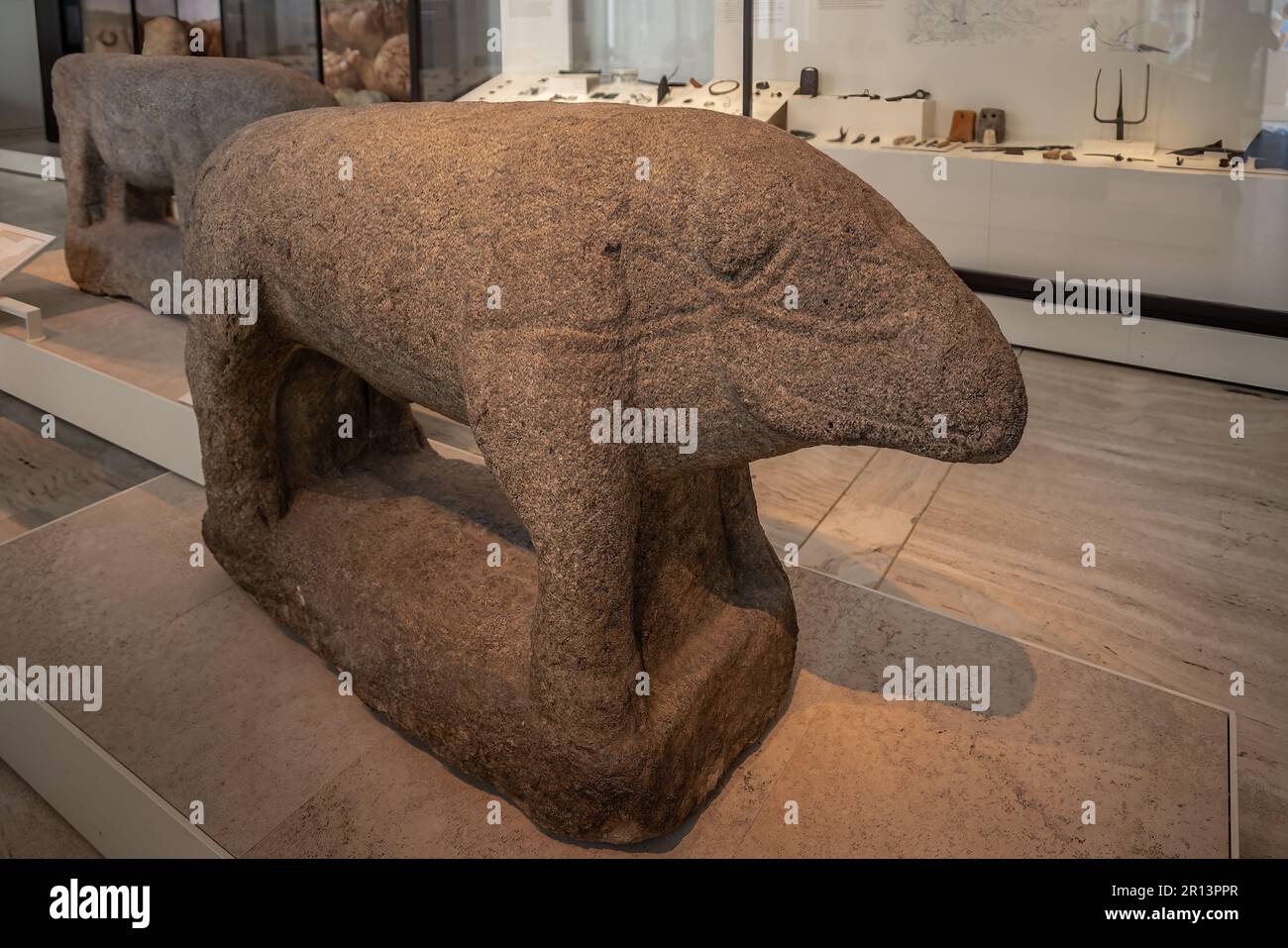 Stone Verraco Pig Prärömisches Denkmal im Archäologischen Nationalmuseum - Madrid, Spanien Stockfoto