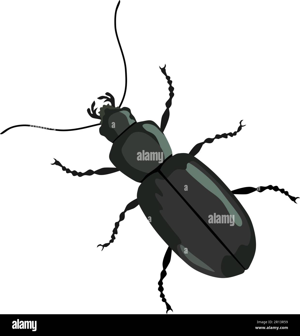 Käfer-Insekten-Tiervektor Stock Vektor