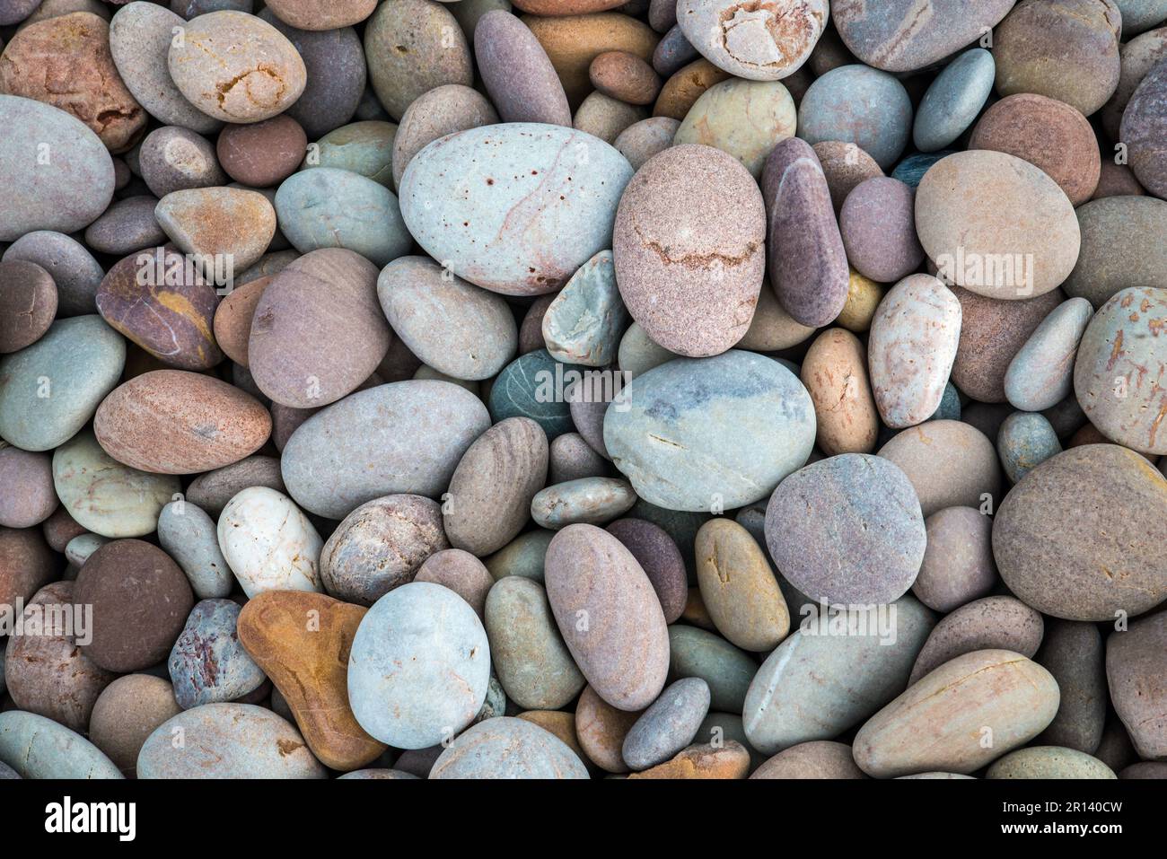 Bunte Kieselsteine an einem Strand in Devon, England Stockfoto