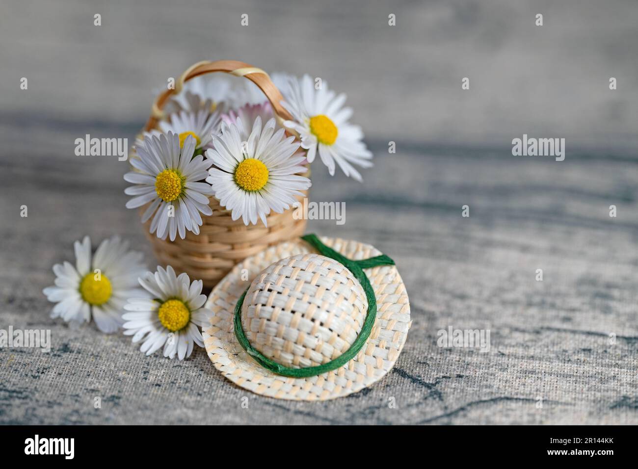 Gänseblümchen in einem Korb bei der Nahaufnahme Stockfoto