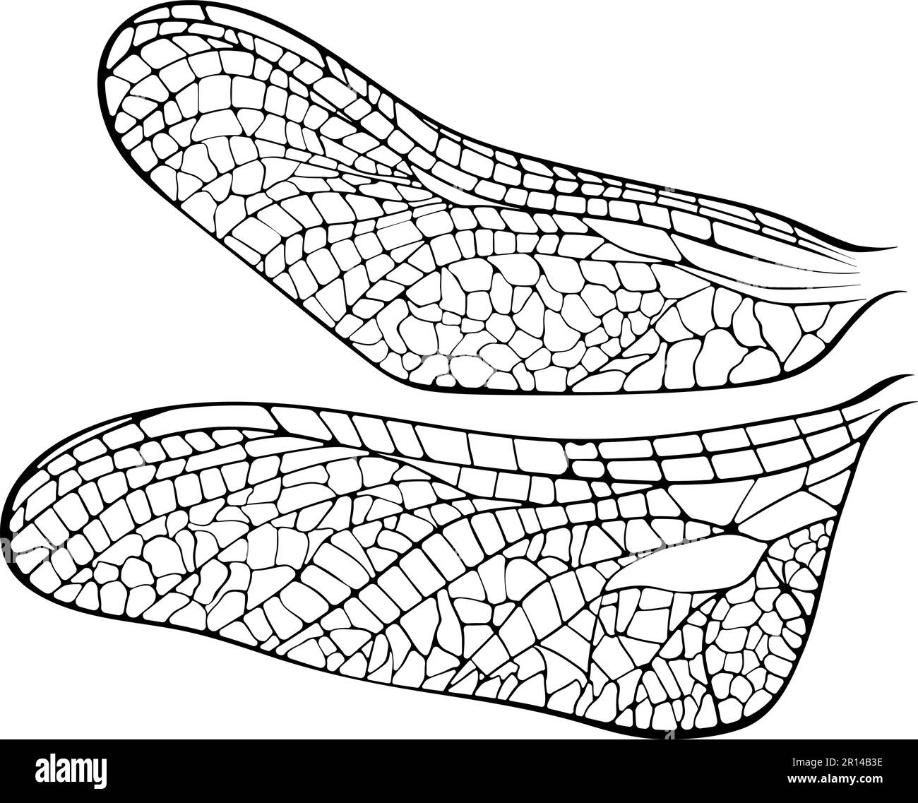 Libellen-Flügel-Linien-Kunst Stock Vektor
