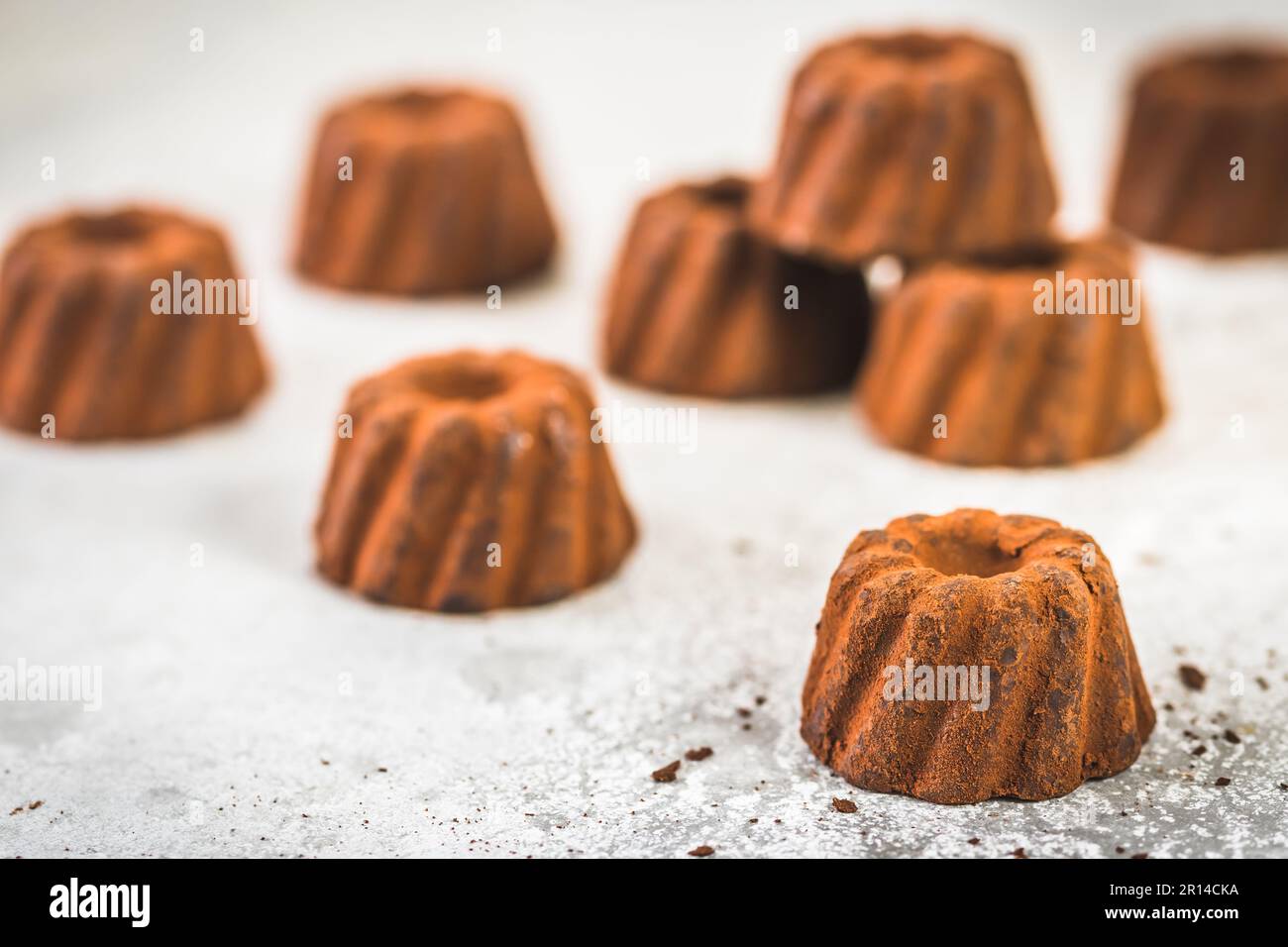 Schokoladenpralinen in Form von kakaogetränkten kleinen Bundt-Kuchen auf hellgrauem Hintergrund konzentrieren sich auf eine einzige Schokolade im Vordergrund Stockfoto