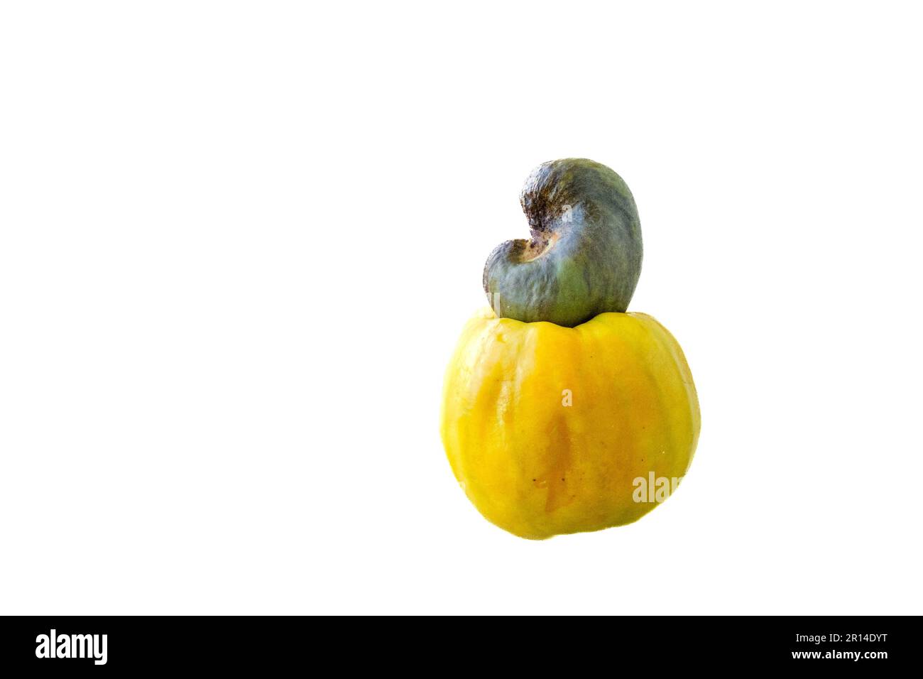Reife, gelbe Cashew-Früchte auf weißem Hintergrund. Stockfoto