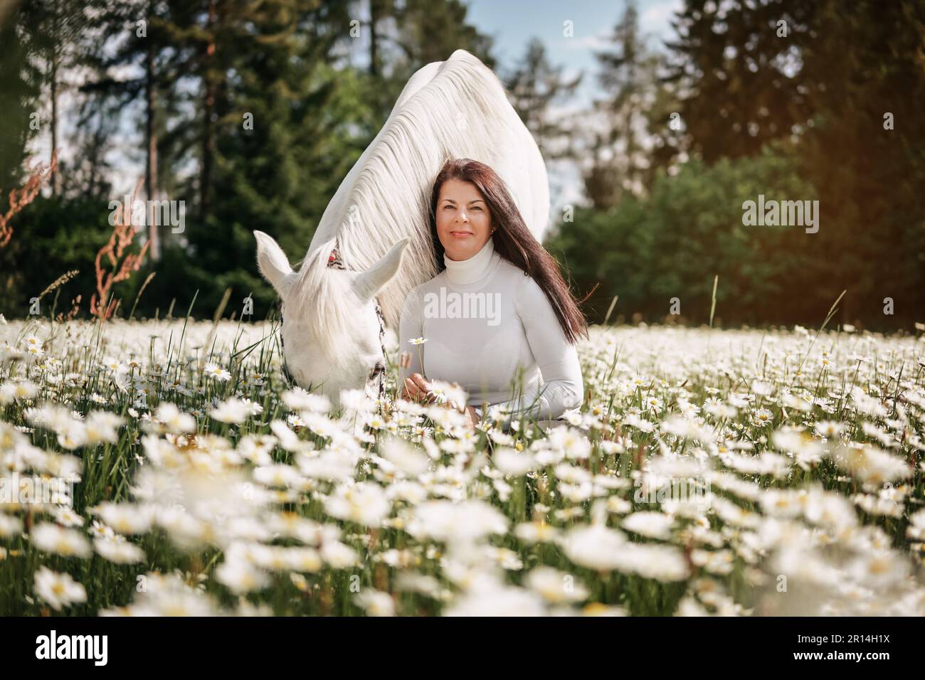 Eine Frau, die auf einer Frühlingswiese im Wald sitzt, voller Gänseblümchen, ein weißes arabisches Pferd neben ihr Stockfoto