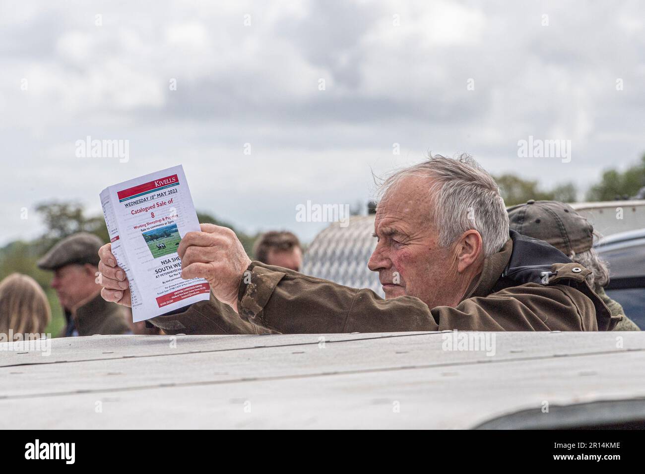 Ein Mann liest einen Katalog auf einem Schäferverkauf Stockfoto
