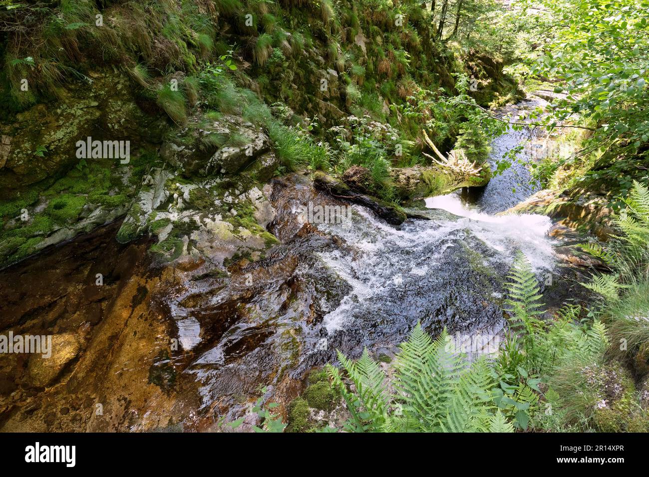 Wilde Landschaft an den All Saints Waterfalls im Schwarzwald, Deutschland Stockfoto