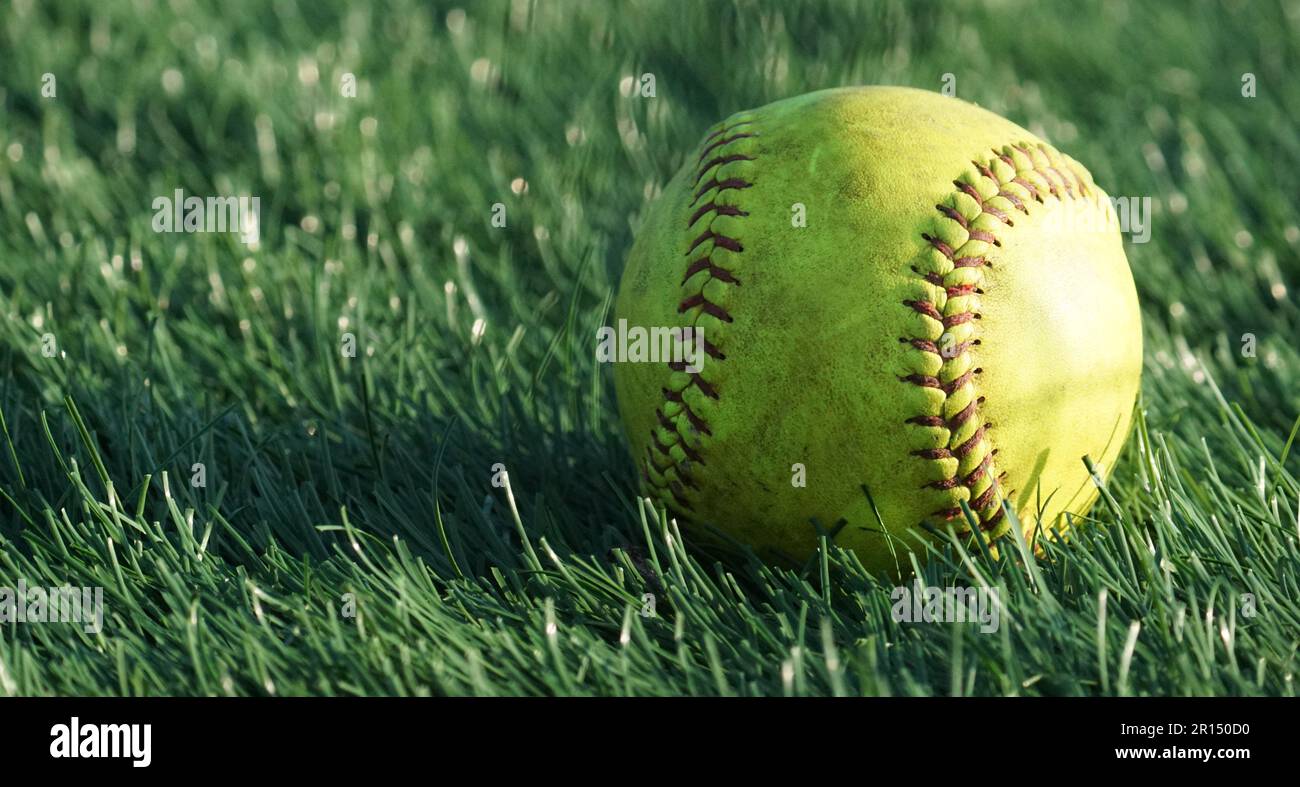 Spiel benutzter Softball, der im Gras mit goldenem Hour-Licht sitzt Stockfoto