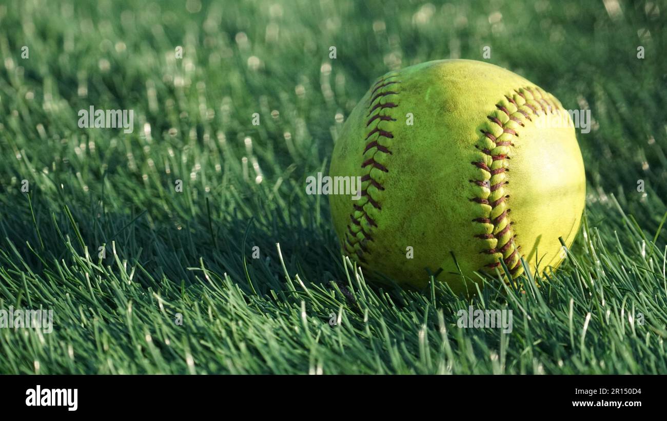 Spiel benutzter Softball, der im Gras mit goldenem Hour-Licht sitzt Stockfoto