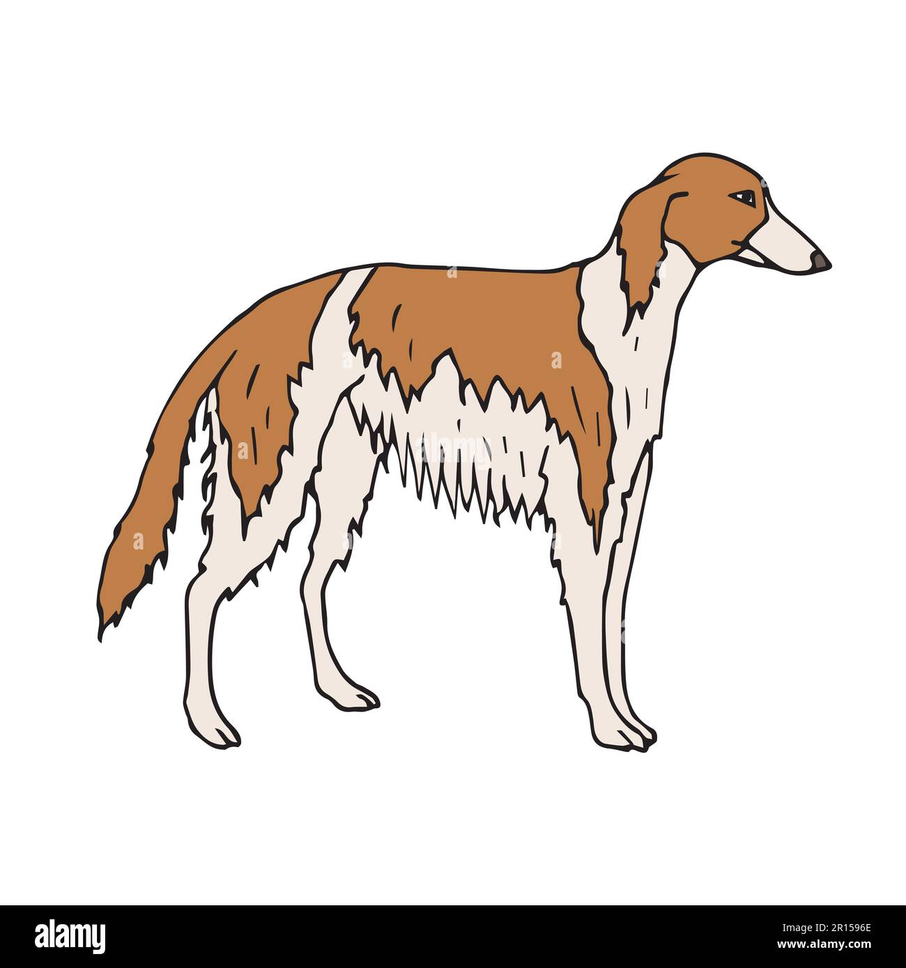 Russischer jagdhund Stock-Vektorgrafiken kaufen - Alamy