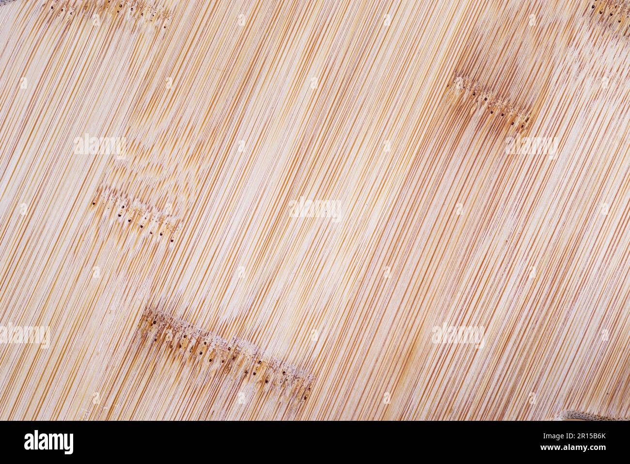 Hintergrundstruktur des Bambus-Schneidebretts Stockfoto
