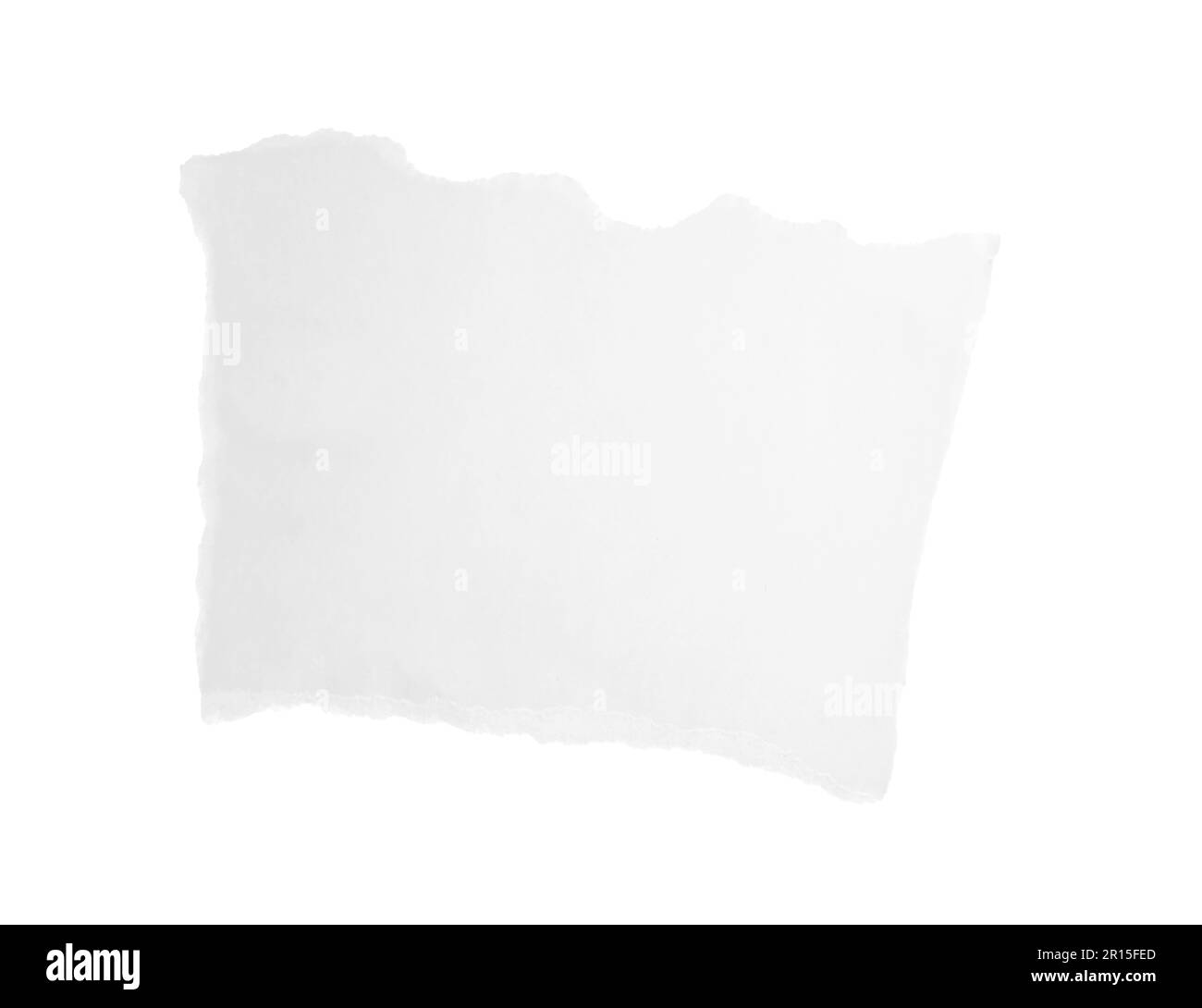 Ein Blatt Papier auf weißem Hintergrund. Platz für Text Stockfoto