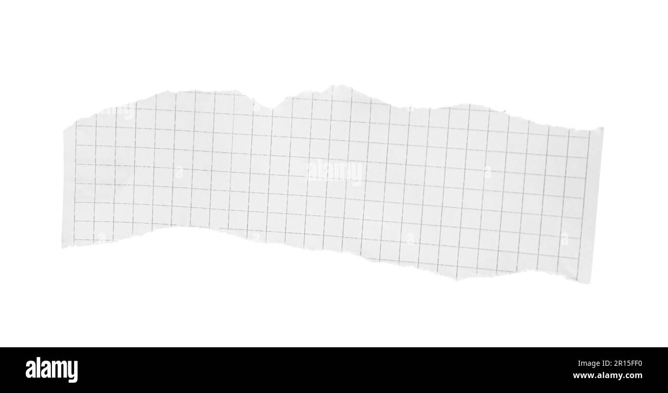 Ein Stück Papier, isoliert auf weiß. Platz für Text Stockfoto