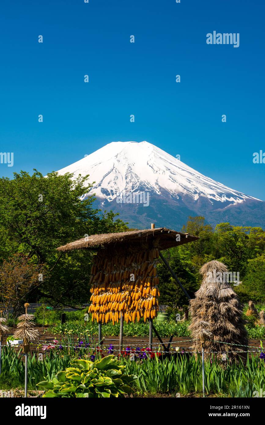 Mount Fuji Stockfoto