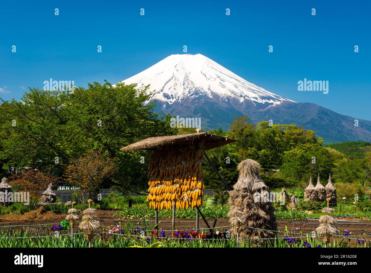 Mount Fuji Stockfoto
