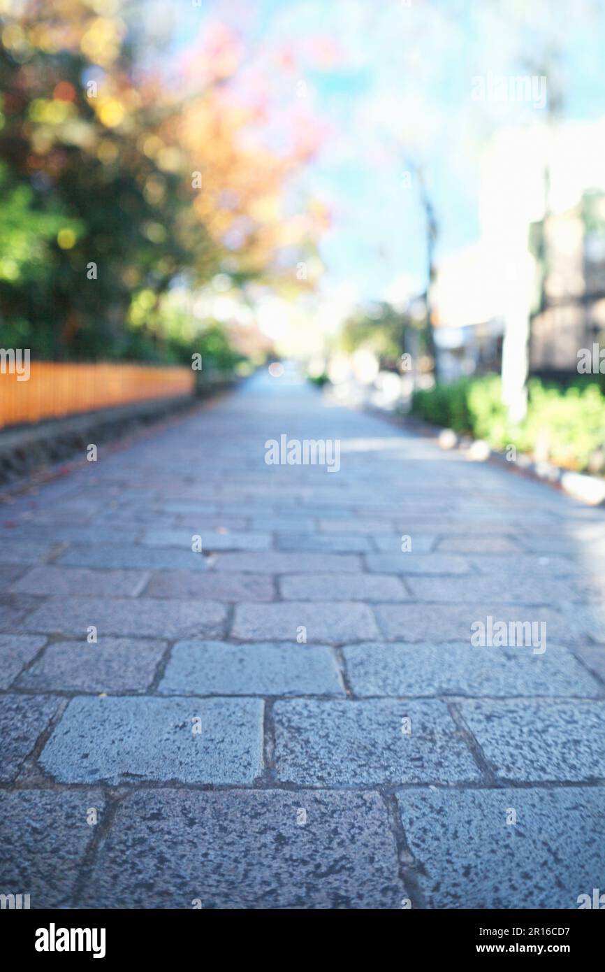 Kopfsteinpflasterstraßen und Straßen von Kyoto Gion Shirakawa Stockfoto