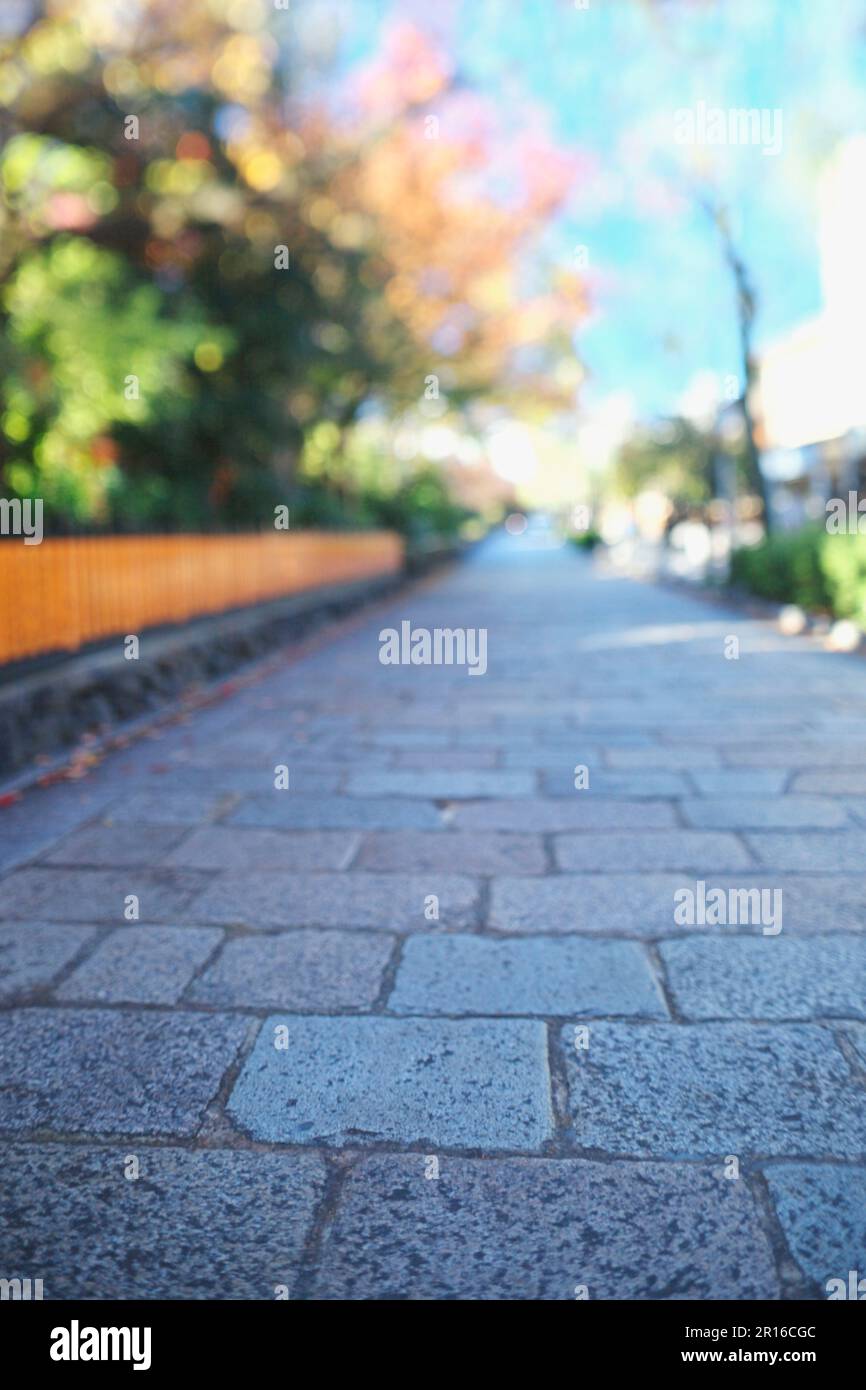 Kopfsteinpflasterstraßen und Straßen von Kyoto Gion Shirakawa Stockfoto