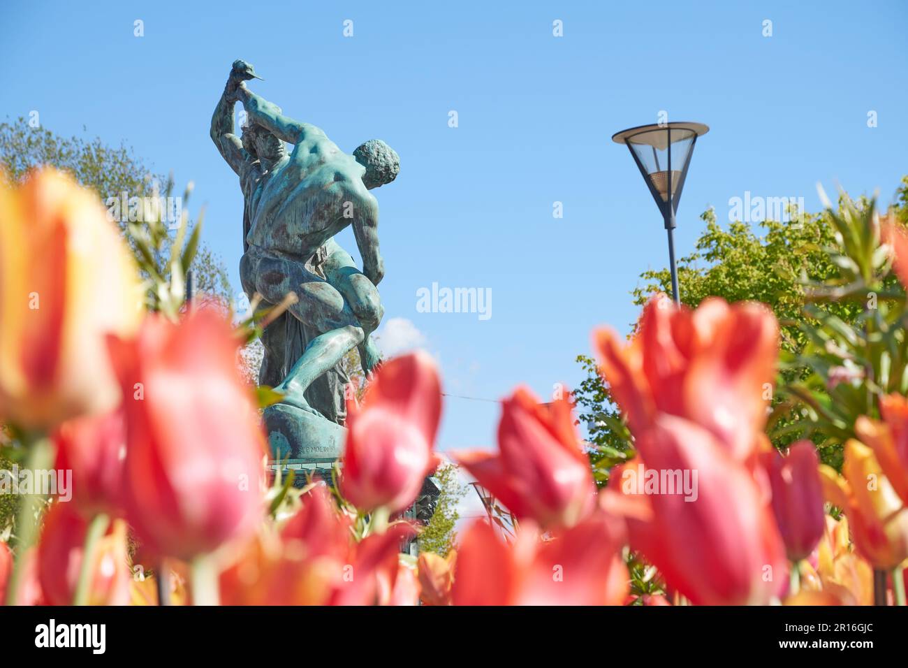 Die Bronzeskulptur „Bältespännarna“ an der Straße Avenyn im Stadtzentrum von Göteborg mit blühenden Tulpen im Vordergrund Stockfoto