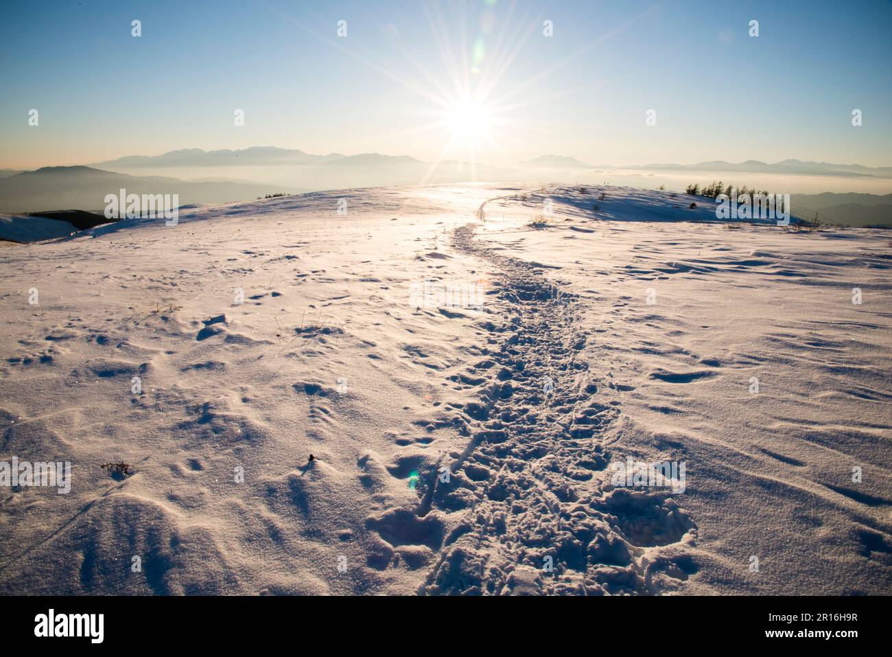 Richtung der zentralen Alpen von einem schneebedeckten Kirigamin-Plateau Stockfoto