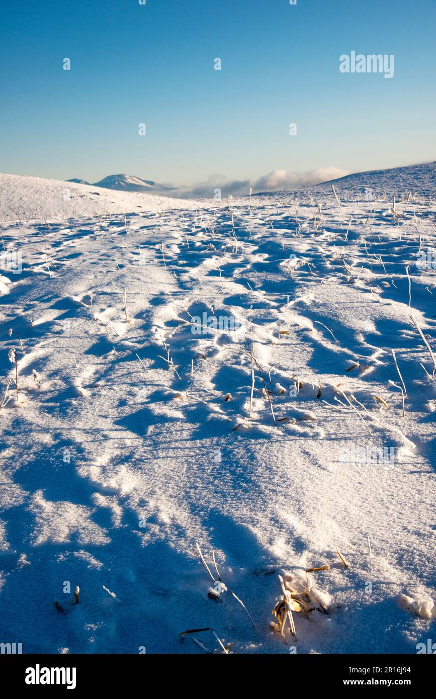 Windstraße, die Kirigamin Plateau Schneefeld bleibt Stockfoto