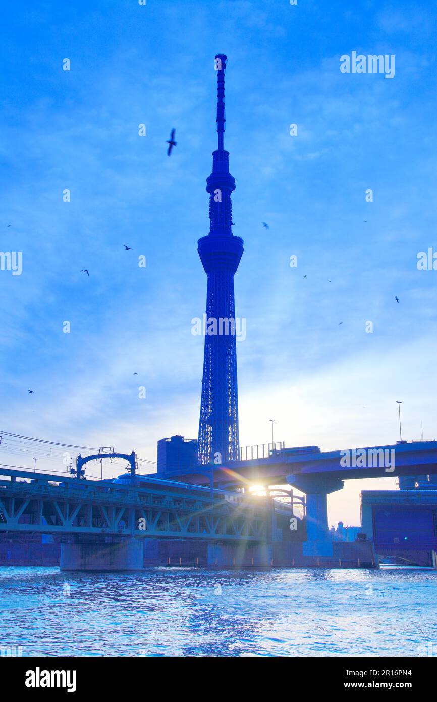 Tokyo Skytree, Morgensonne, Schar der Seagullen und Tobu Railway Train Stockfoto