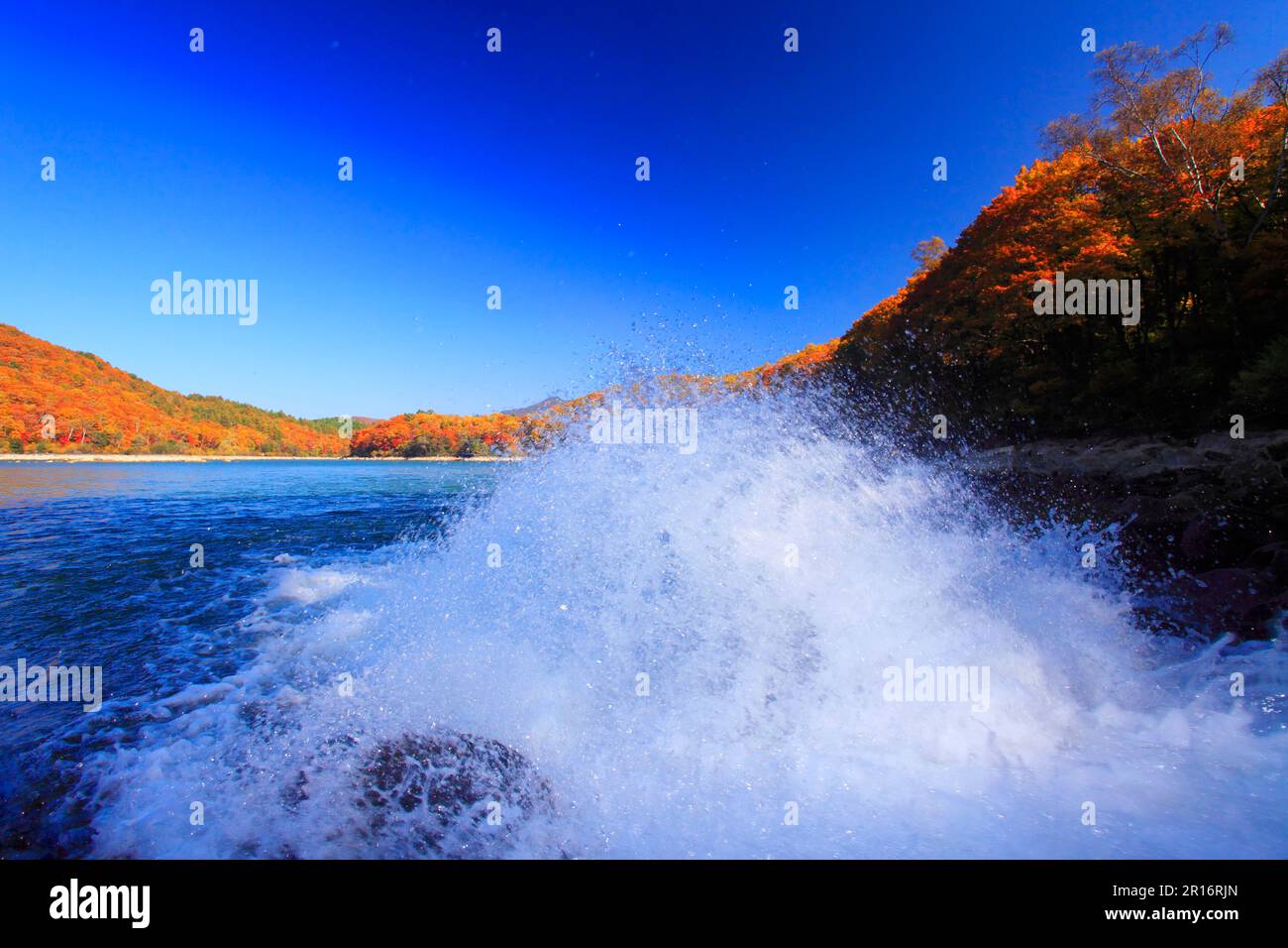 Im Herbst strömt Wasser in den Biwaike Pond Stockfoto Im Herbst strömt Wasser in den Biwaike Pond Stockfoto