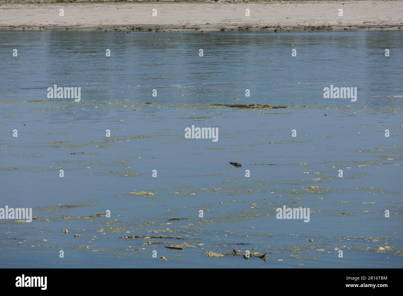 Po, Italienisch: Latein: Padus oder Ēridanus; Altes Ligurisch: Bodincus oder Bodencus) ist der längste Fluss Italiens. Es fließt nach Osten durch den nördlichen IT Stockfoto