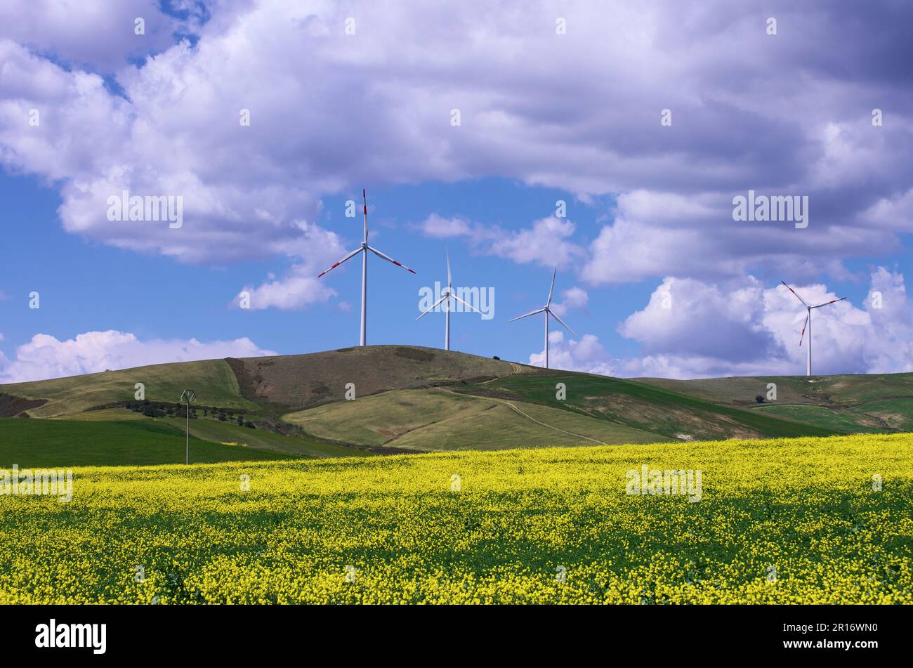 Frühlingslandschaft mit Windturbinen in Sizilien, Italien Stockfoto