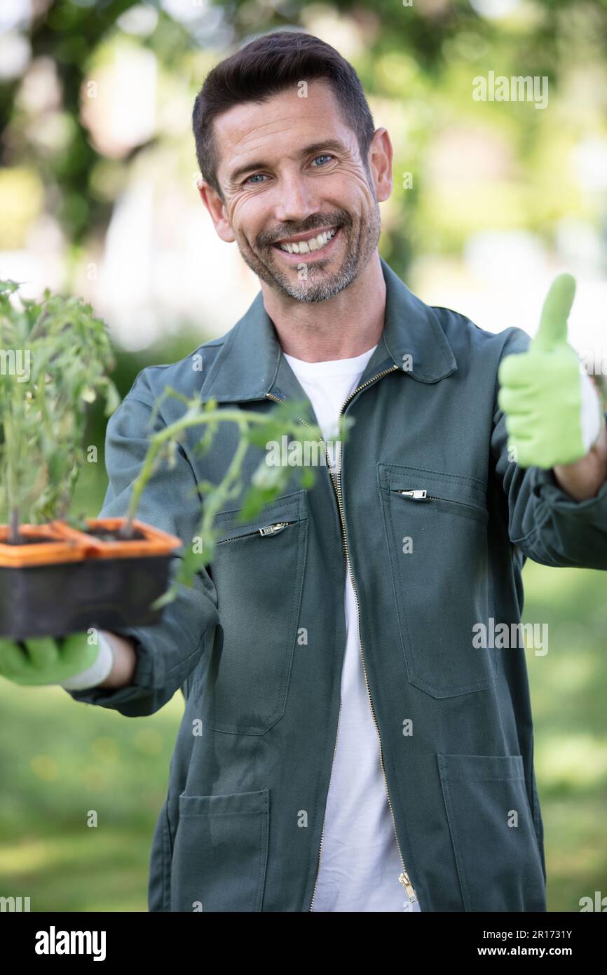 Glücklicher professioneller Gärtner, der Daumen nach oben zeigt Stockfoto