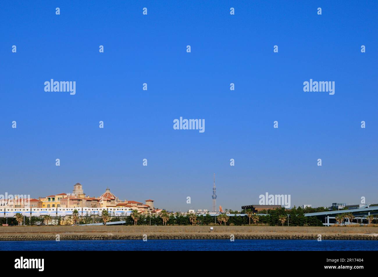 Tokio Himmelsbaum und TDL Stockfoto