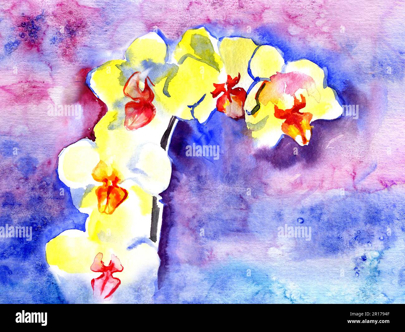 Aquarell-gelbe Sommerorchidee auf Violett Stockfoto