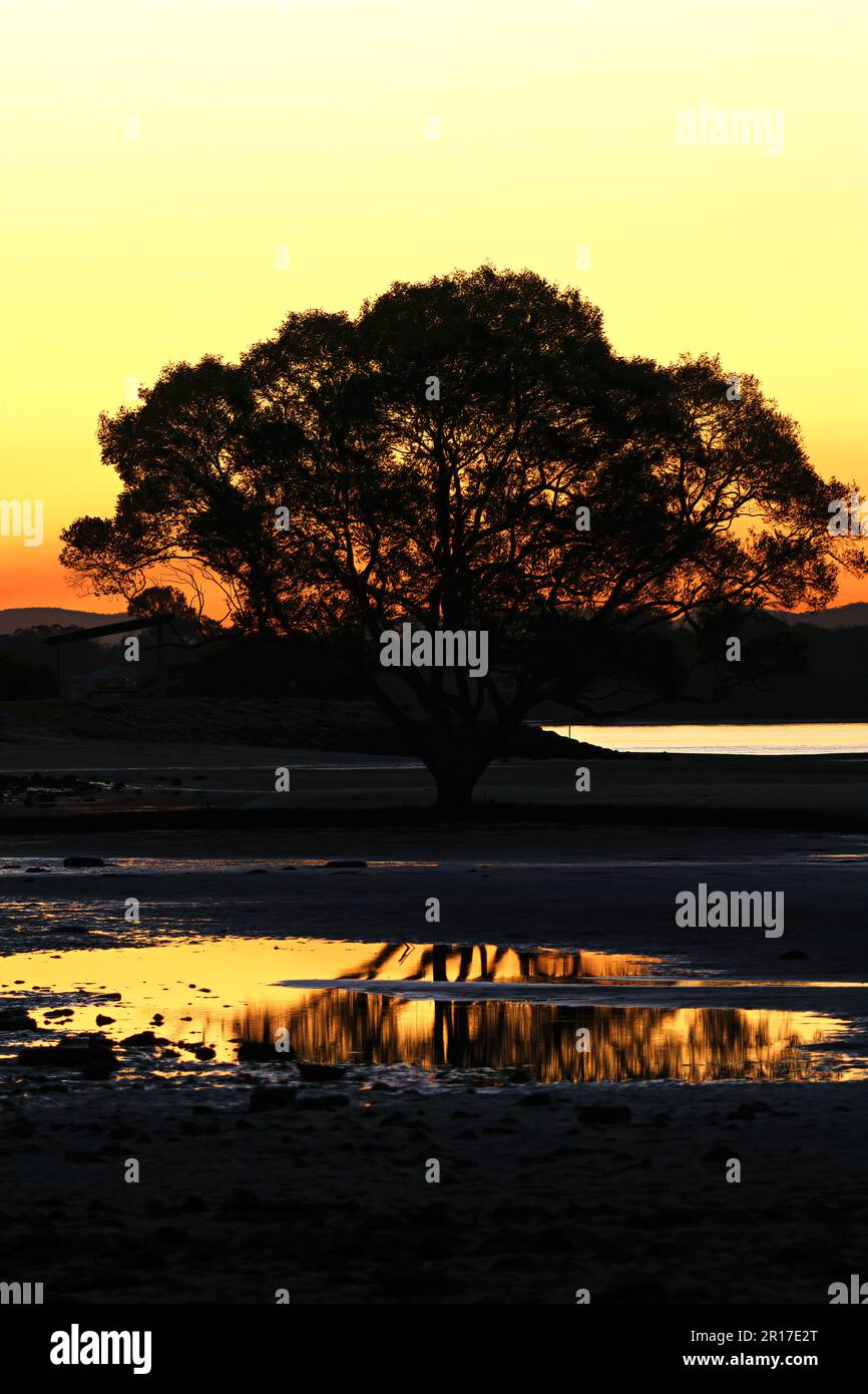 Künstlerische Bilder der Schönheit der Natur, Sonnenuntergang in der Dämmerung nahe dem Fluss, der auf den Ozean trifft, und Geisteswahrnehmung der Natur. Stockfoto