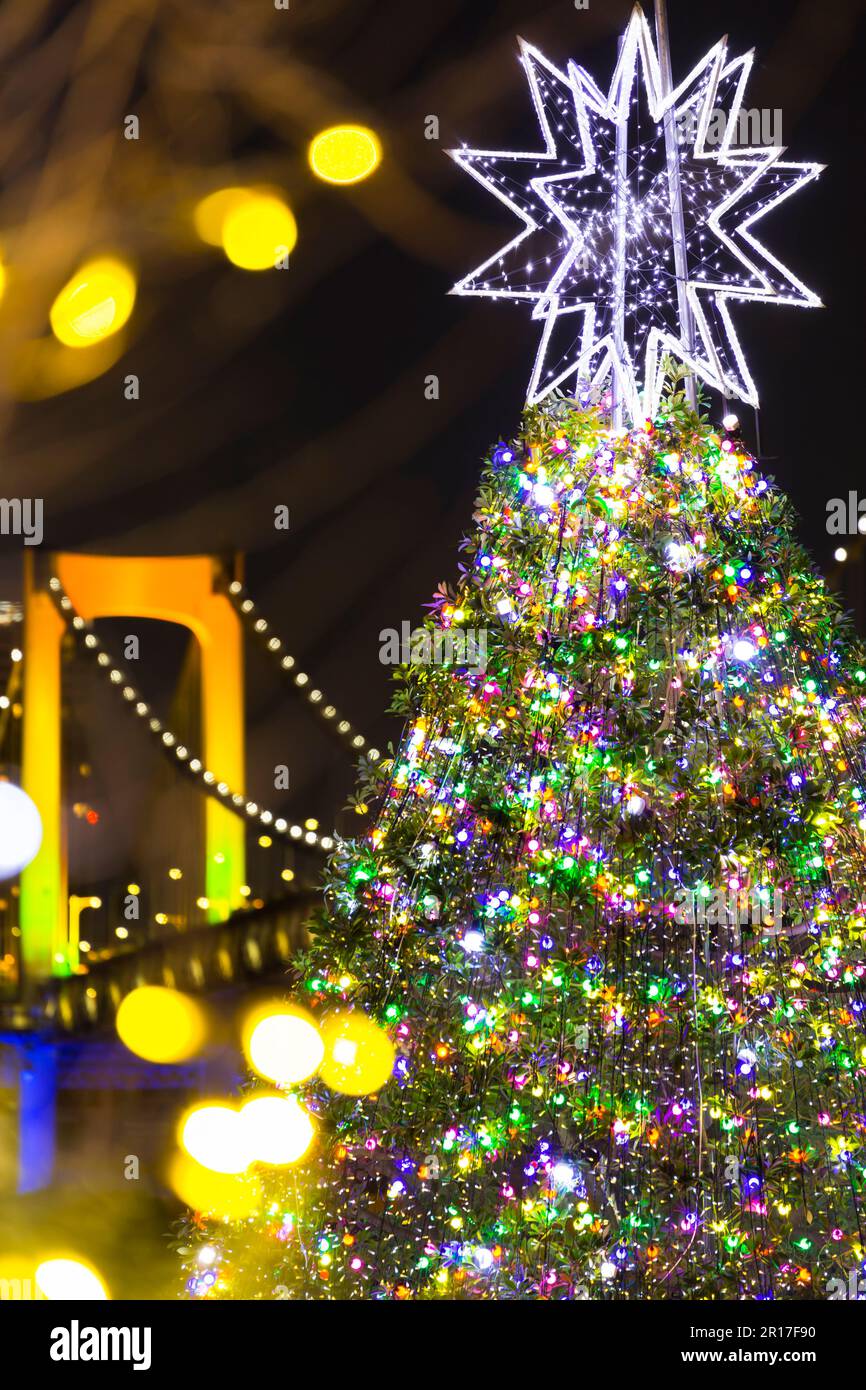 Weihnachtsbaum und Regenbogenbrücke Stockfoto