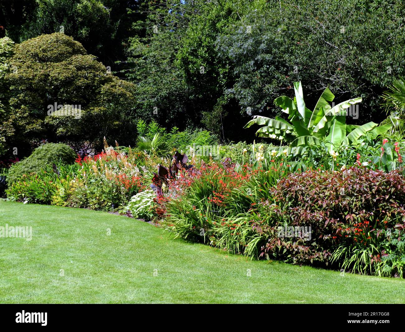 England, Cornwall, Trelissick Gardens (National Trust): Eine farbenfrohe, krautige Grenze. Stockfoto