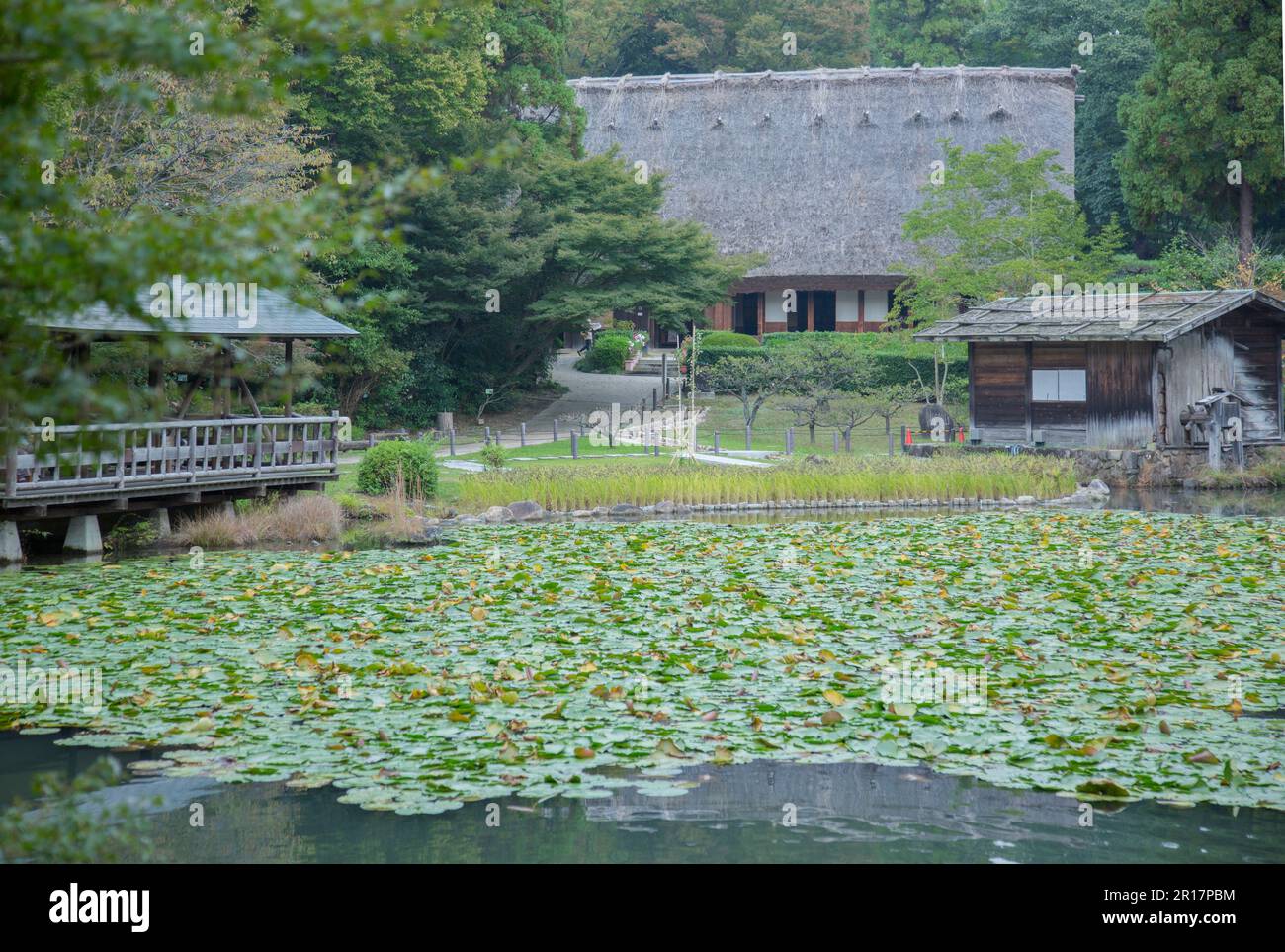 Ein strohgedecktes Dachhaus und ein Lotusteich im botanischen Bereich des Higashiyama Zoo und des Botanischen Gartens Stockfoto