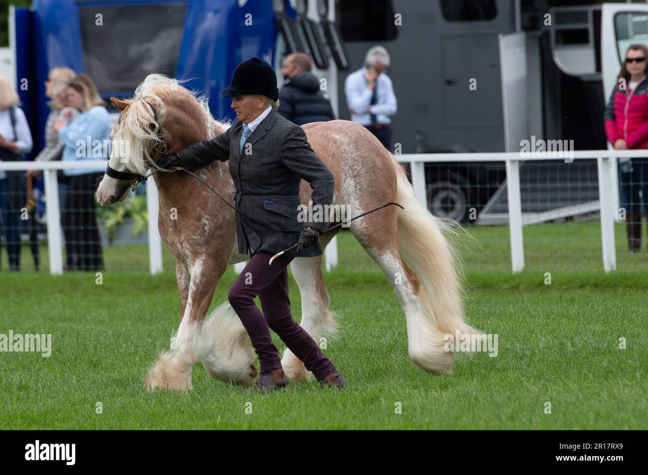 Windsor, Berkshire, Großbritannien. 11. Mai 2023. Es war heute ein geschäftiger Tag bei der Royal Windsor Horse Show 80., die auf dem Privatgelände von Windsor Castle stattfand. Die Gäste genossen es, Einkaufen, Gastfreundschaft zu beobachten und den Pferden in verschiedenen Klassen beim Wettkampf zuzusehen. Kredit: Maureen McLean/Alamy Live News Stockfoto