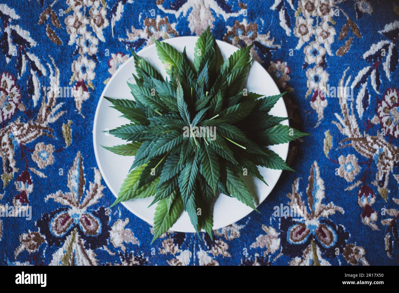 Grüner Stapel Marihuana-Blätter auf blauem Teppich, natürlichem Licht Stockfoto